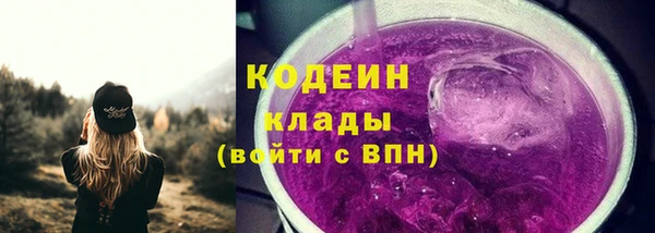 спиды Лагань