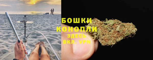 спиды Лагань