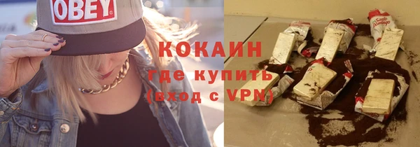 твердый Ладушкин