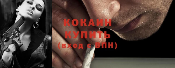 твердый Ладушкин