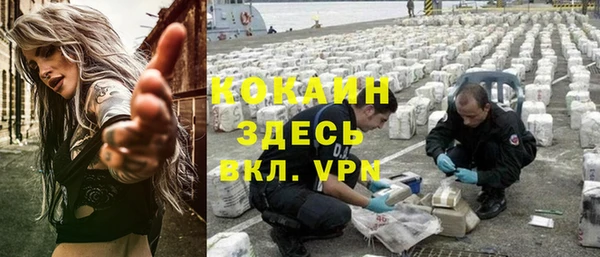 твердый Ладушкин