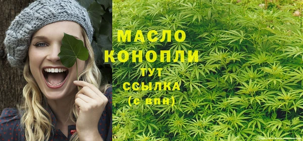 твердый Ладушкин