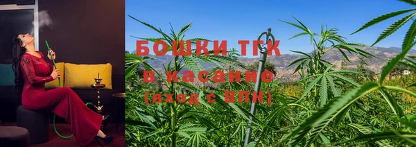 твердый Ладушкин