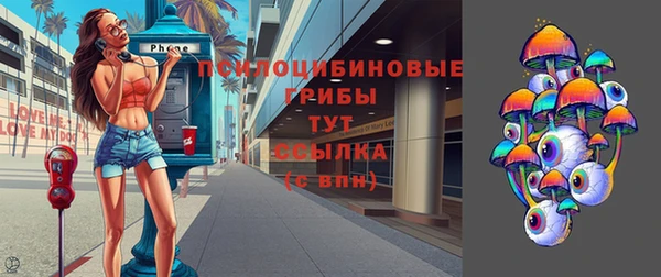 твердый Ладушкин