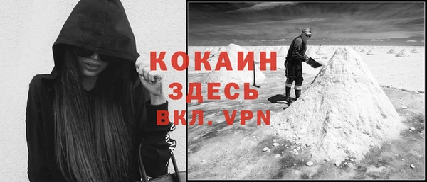 твердый Ладушкин