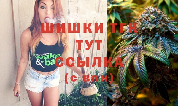 спиды Лагань