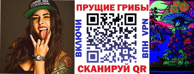 купить   Похвистнево  Псилоцибиновые грибы Psilocybine cubensis 