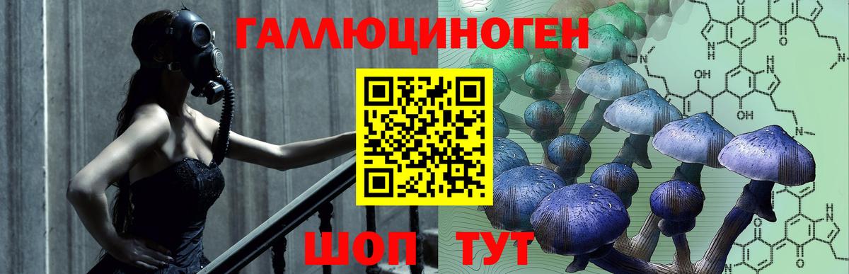 Похвистнево  Галлюциногенные грибы Psilocybe  цены наркотик  Вход с VPN 
