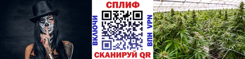 Канабис Bruce Banner  нарко площадка какой сайт  Похвистнево 